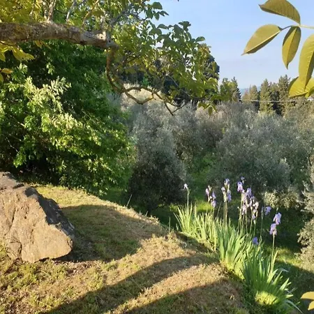 Charming Retreat In Montorsoli